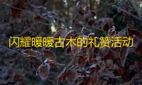 闪耀暖暖古木的礼赞活动什么时候上线
